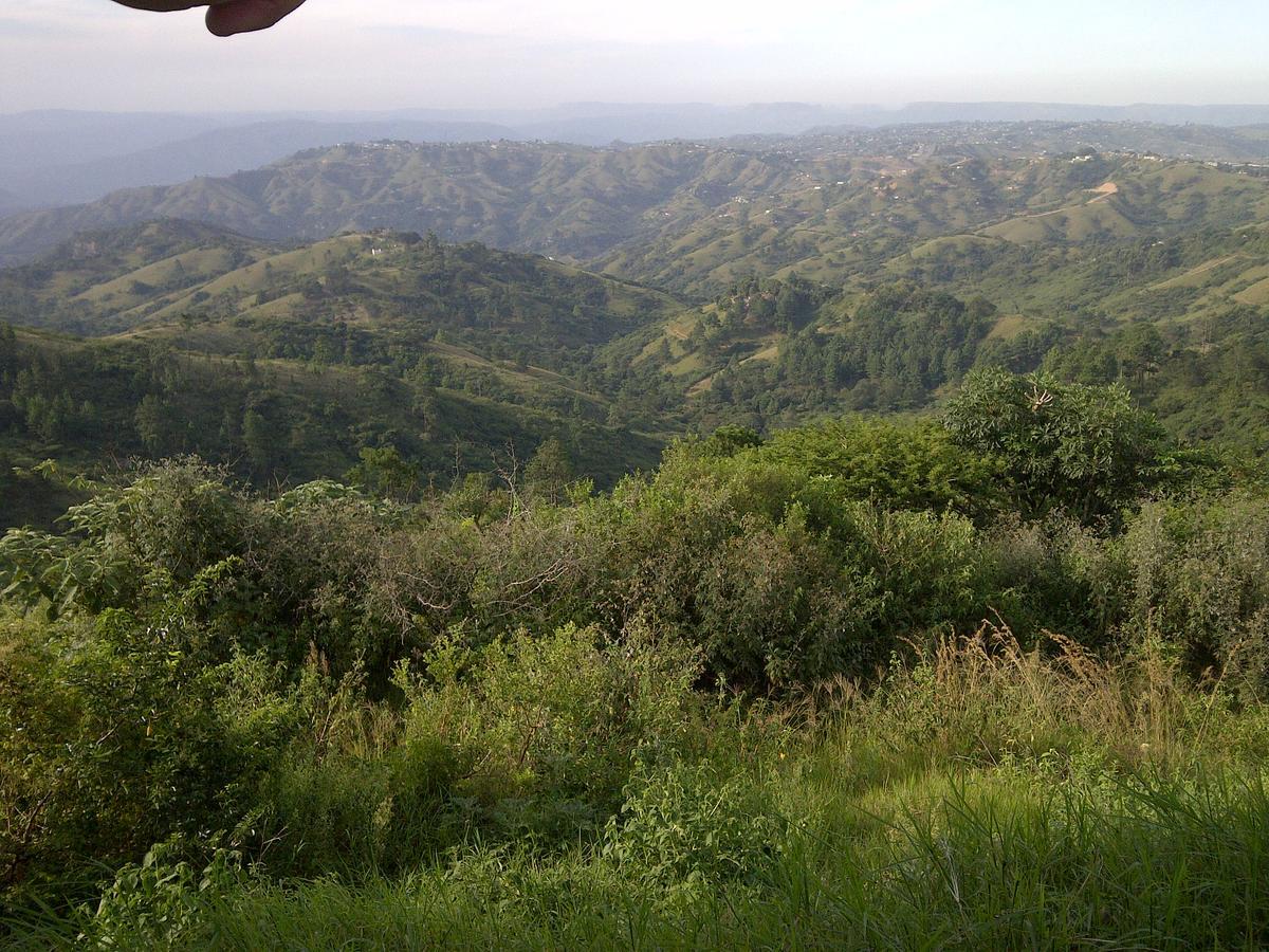 Вилла Phezulu Safari Park Botha's Hill Экстерьер фото