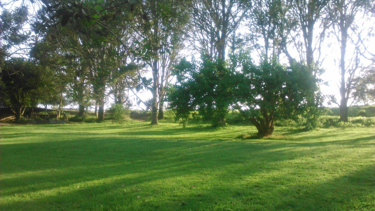 Вилла Phezulu Safari Park Botha's Hill Экстерьер фото